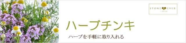 生活の木 ハーブの食品 ハーブサプリメント ハーブチンキ エキナセア