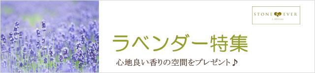 生活の木 ラベンダー特集