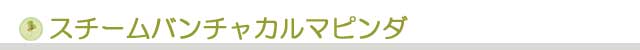 生活の木 アーユルヴェーダ スチームバンチャカルマピンダ