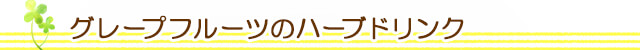 生活の木 グレープフルーツのハーブドリンク