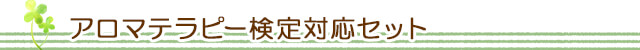 生活の木 日本アロマ環境協会アロマテラピー検定対応セット