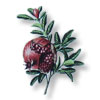ザクロ/Pomegranate
