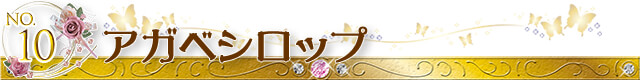 第10位 アガベシロップ