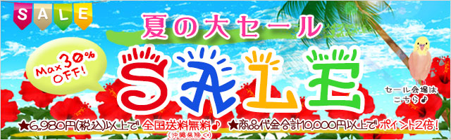 セール会場