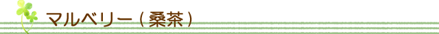 生活の木 ハーブティー マルベリー