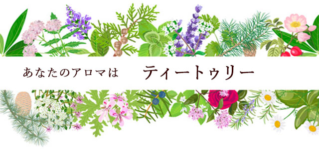 【アロマ占い】ティートゥリー