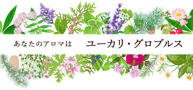 【アロマ占い】ユーカリグロブルス