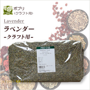 生活の木　クラフト用　ラベンダー