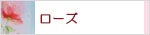 生活の木 ビューティーオイル